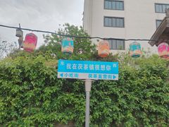 -茯茶镇