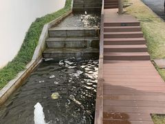 -杭州海华满陇度假酒店