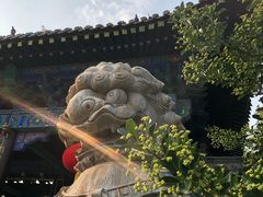 -台儿庄古城