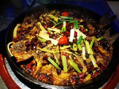 -老板恋上鱼(恒隆广场店)