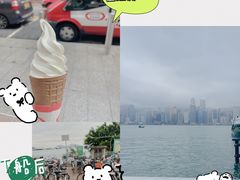 -长洲岛