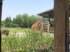 -宁波野生动物园