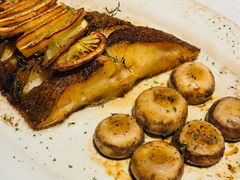 -一棵树·意大利西餐厅One Tree(新城店)