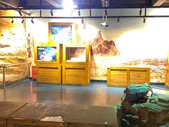 -国家自然博物馆