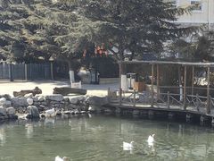 -天毓山庄·餐厅