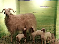 -清真·益鑫羊肉手抓馆(花园北街店)