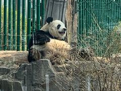 -大连森林动物园