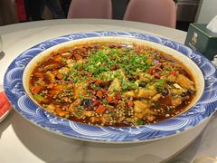 -新概念来凤鱼(璧山店)