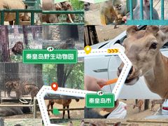 -秦皇岛野生动物园