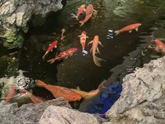 -广州白天鹅宾馆