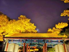 -中央音乐学院歌剧音乐厅