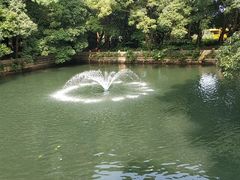 -普陀山风景名胜区-法雨禅寺