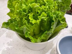 -若爱猪肚鸡·啫啫煲(循礼门M+店)