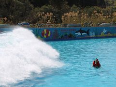 -青鱼湾水上乐园