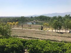-北坞公园