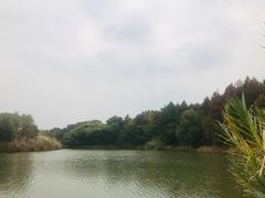 -梁鸿国家湿地公园
