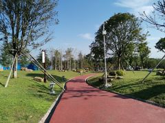 -铁山坪森林公园