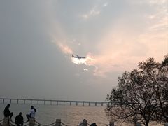 -宝安西湾红树林湿地公园