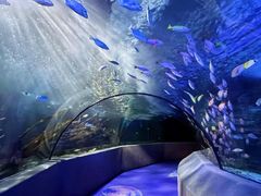 -太平洋海底世界