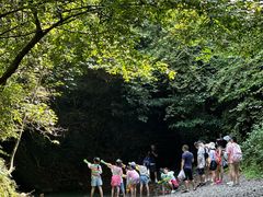 -夏霖九天银瀑风景区