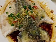 -五谷芳乳鸽王(海景店)