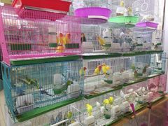 -三旗百汇商品城