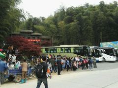 -宁波浙东大竹海景区