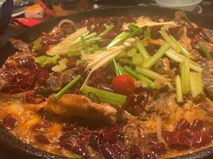-老板恋上鱼(振华商厦店)