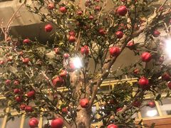 景观位-Cafe Alice咖啡爱丽丝(奥城店)