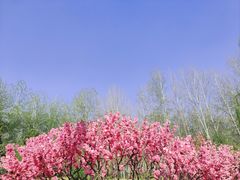 -仁和公园(顺义区)
