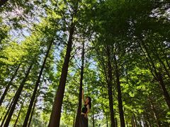 -贵阳市花溪国家城市湿地公园