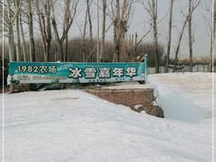 -1982农场