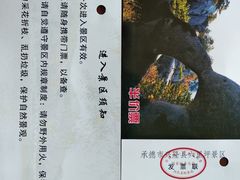 -六里坪国家森林公园