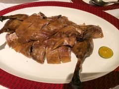 -圆苑(金茂店)