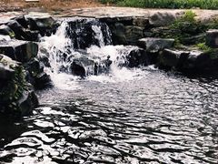 -百脉泉景区