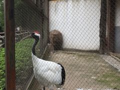 -南昌动物园