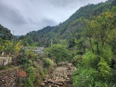 -衢州大荫山丛林飞越探险乐园