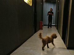 -梵猫·新养生(加州广场店)