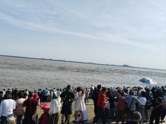 -观潮胜地公园