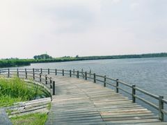 -宁波杭州湾国家湿地公园