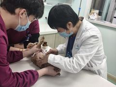 -北京观赏动物医院·24小时大型综合·猫专科·异宠专科