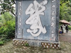 -靖西鹅泉风景区