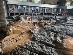 -自贡恐龙博物馆