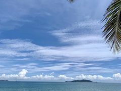 -海港城