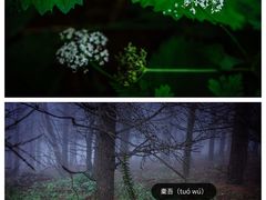 -白草畔自然风景区