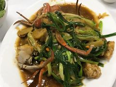 -新陶陶酒家