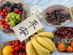 -加蒙特森林幼儿园(广州市增城区店)