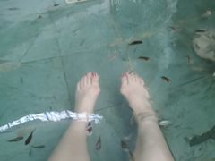 -渔岛海洋度假区