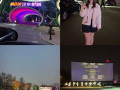 -枫花园汽车电影院(朝阳公园店)