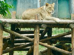 -泉州海丝野生动物世界